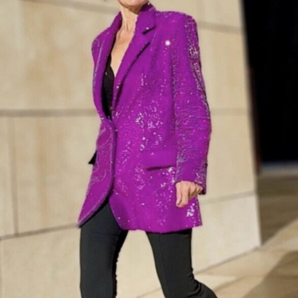 NWT Zara festive days Sequin Blazer